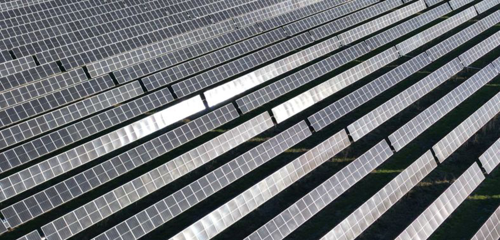 PLT Energia e X-ELIO siglano un accordo per la vendita di un progetto fotovoltaico da 50 MW in Italia